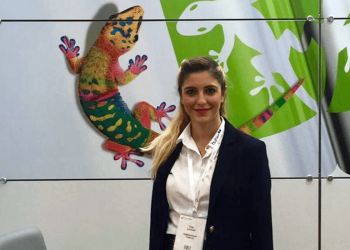 Renk verimliliği kontrolü