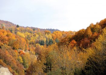Selüloz ve kâğıt sektörü, 2022’de rekor seviyedeki enerji fiyatları ve ekonomik yavaşlamadan tahminlerin ötesinde etkilendi