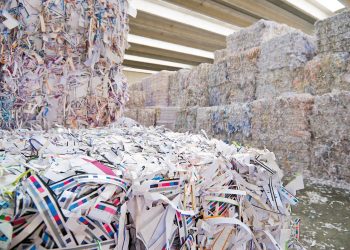 Kâğıt değer zinciri 2022’de %70,5 geri dönüşüm oranına ulaştı