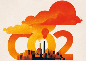 Avrupa karton endüstrisi  fosil karbon ayak izini  %8 daha azalttı